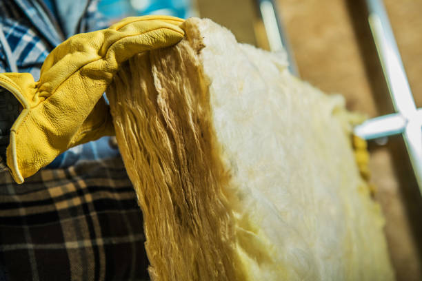 Best Spray Foam Insulation  in Croswell, MI