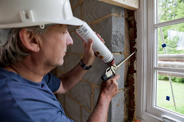 Best Home Insulation Services  in Croswell, MI