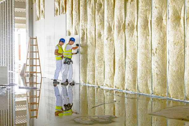 Professional Insulation Contractor in Croswell, MI